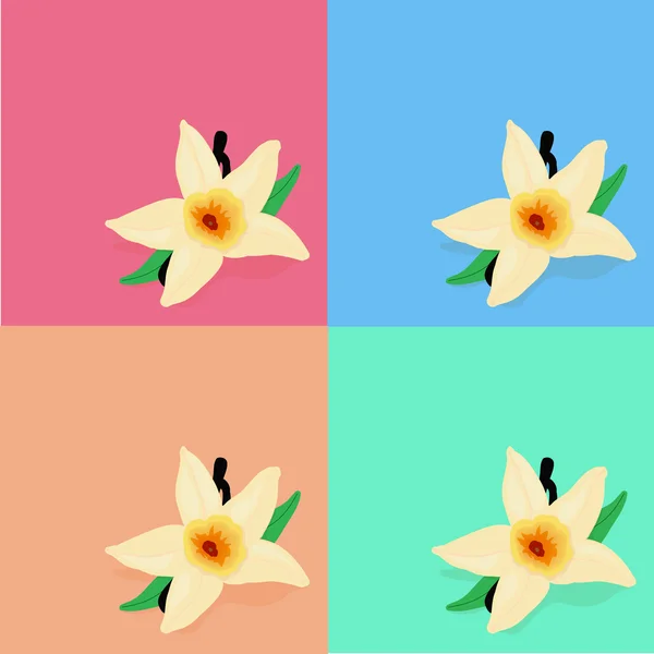 Flower